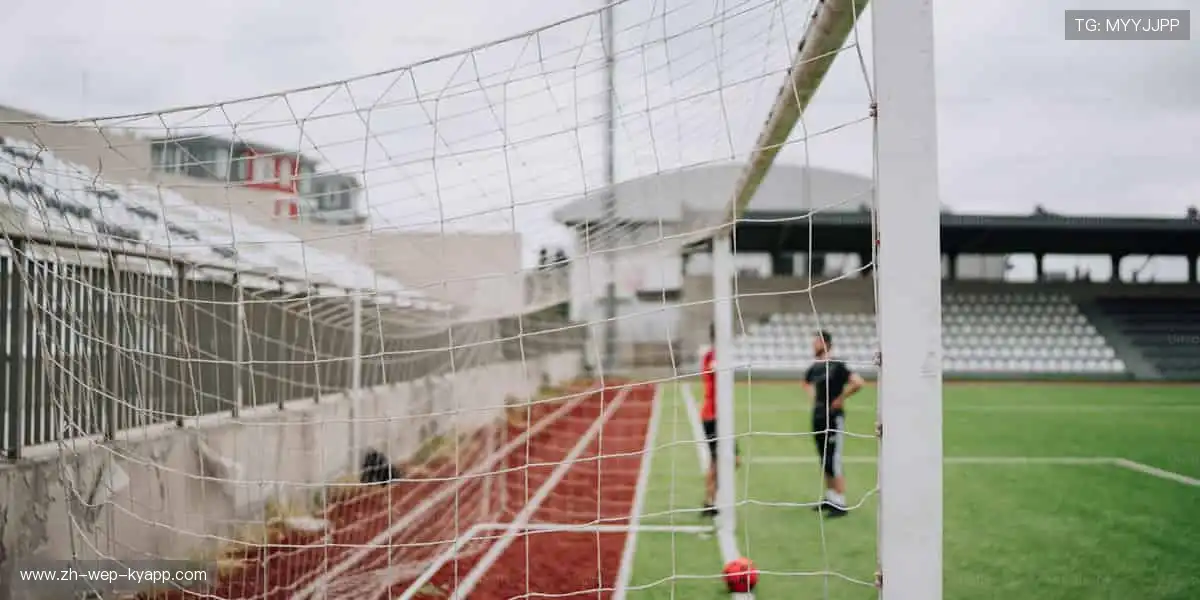 🎁 限量版周边,用细节诠释你对体育的极致热爱!🎲