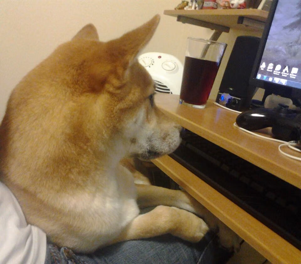 五大联赛强队进球分布时间是否趋于集中，五大联赛球队进球纪录